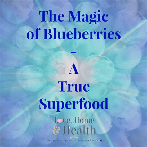 The Magic of Soon Blueberry: Boosting Brain Power